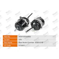 WG9100360303 Задняя тормозная камера Huatai
