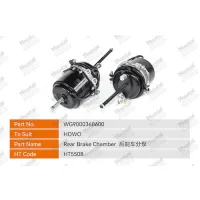 WG9000360600 Задняя тормозная камера Huatai