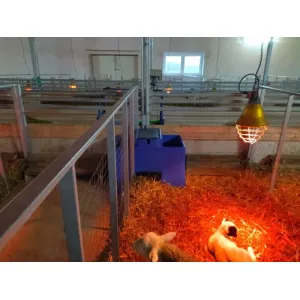 Открытая поилка на 30 литров для КРС и МРС с подогревом, изображение 4