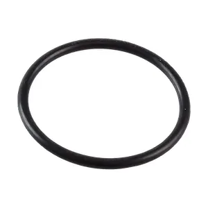 001131271 Кольцо уплотнительное/O-RING