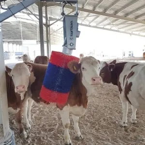 Щетка - чесалка для коров KURTSAN, изображение 2