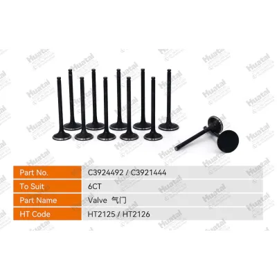 C3924492 Впускной клапан Huatai