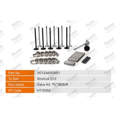 VG1246050021/VG1246050022/VG1246040014/VG1246040012/13/VG1246050027 Комплект клапанов Huatai