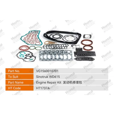 VG1560010701 Ремкомплект двигателя Huatai