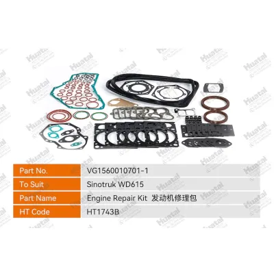 VG1560010701-1 Ремкомплект двигателя Huatai