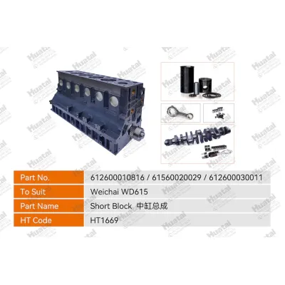 612600010816/61560020029/612600030011 Короткий блок Huatai