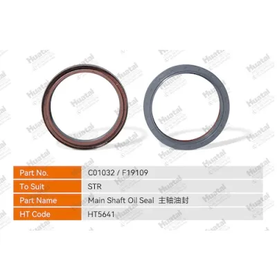 C01032/F19109 Сальник шпинделя Huatai