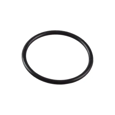 001131271 Кольцо уплотнительное/O-RING