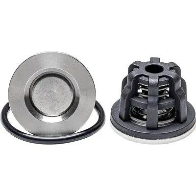 Клапан НАОСА/UDOR/OMEGA 130/160/250 (1709), 600608/600697