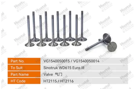 VG1540050015 Впускной клапан Huatai