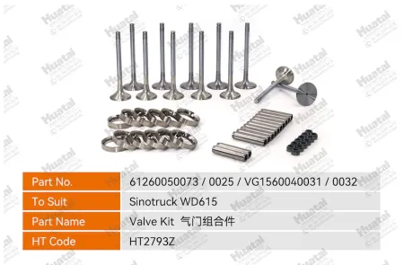 61260050073/61260050025/VG1560040031/VG1560040032 Комплект клапанов Huatai