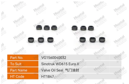 VG1560040032 Сальник Huatai