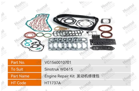 VG1560010701 Ремкомплект двигателя Huatai