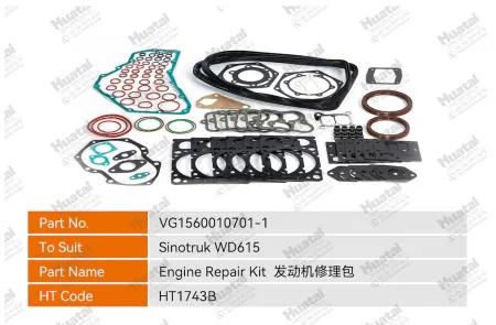 VG1560010701-1 Ремкомплект двигателя Huatai