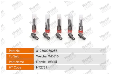 612600080255 Распылитель форсунки Huatai