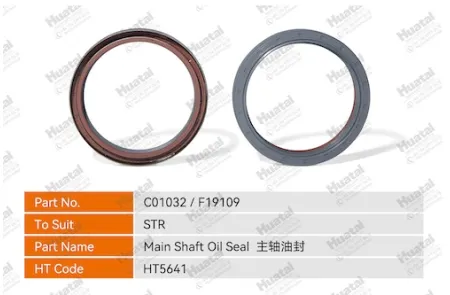 C01032/F19109 Сальник шпинделя Huatai