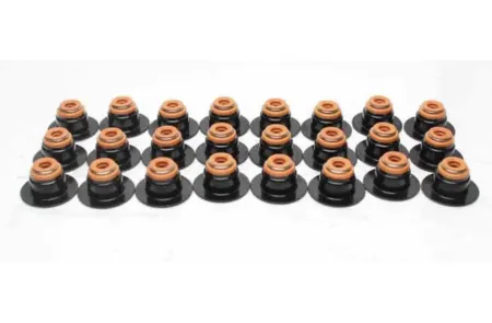 3948578 Сальник клапанов (впуск/выпуск) комплект 24 шт. Dongfeng