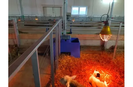 Открытая поилка на 30 литров для КРС и МРС с подогревом, изображение 4