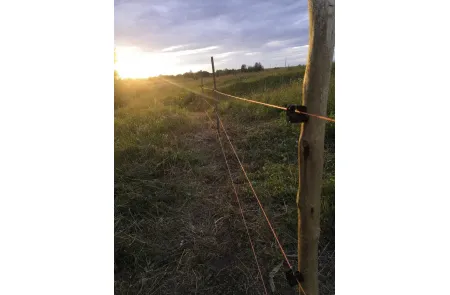 Изолятор под гвоздь саморез по дереву пластиковый для электропастуха, крепления для кабеля, крепеж для открытой проводки 100 шт., изображение 5