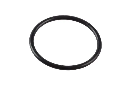 001131271 Кольцо уплотнительное/O-RING