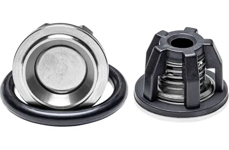 Клапан Annovi Reverberi 115-135, 160-185, 215-250, 759054