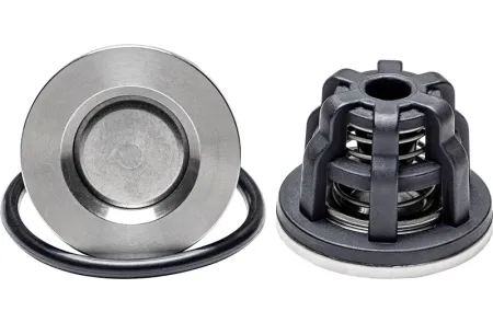 Клапан НАОСА/UDOR/OMEGA 130/160/250 (1709), 600608/600697