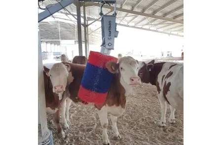 Щетка - чесалка для коров KURTSAN, изображение 2