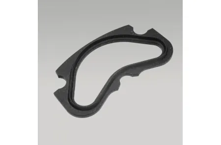 7025-2479-000 Уплотнение IQ