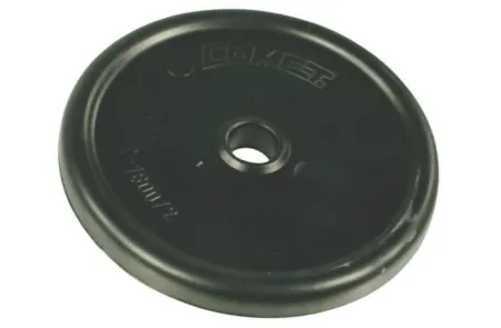 Мембрана BPS 125 мм (BPS 165-300 18000012 T)