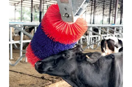 Щетка - чесалка для коров KURTSAN