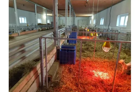 Открытая поилка на 30 литров для КРС и МРС с подогревом, изображение 6