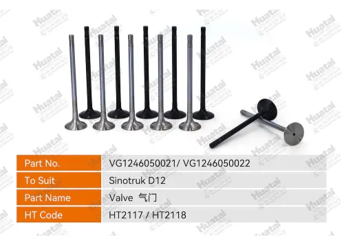 VG1246050021 Впускной клапан Huatai