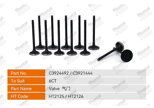 C3924492 Впускной клапан Huatai