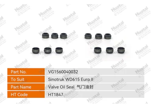 VG1560040032 Сальник Huatai