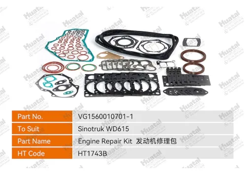 VG1560010701-1 Ремкомплект двигателя Huatai