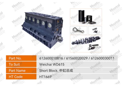 612600010816/61560020029/612600030011 Короткий блок Huatai