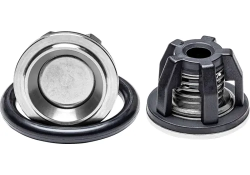 Клапан Annovi Reverberi 115-135, 160-185, 215-250, 759054