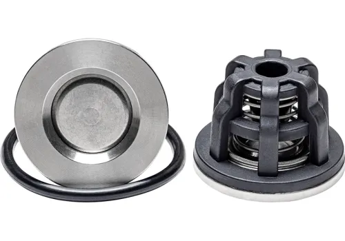 Клапан НАОСА/UDOR/OMEGA 130/160/250 (1709), 600608/600697