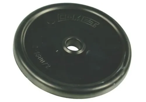 Мембрана BPS 125 мм (BPS 165-300 18000012 T)