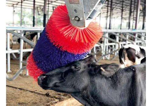 Щетка - чесалка для коров KURTSAN